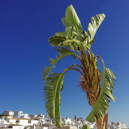 Apartamento La Huerta Frigiliana